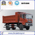 Heavy Truck/Dump Truck/Cargo Truck